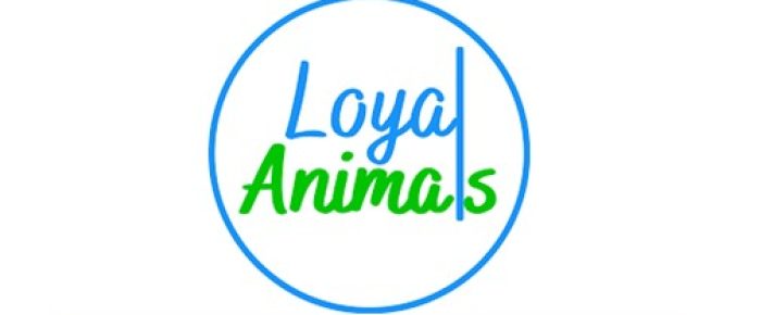 Logo LOYAL ANIMAL